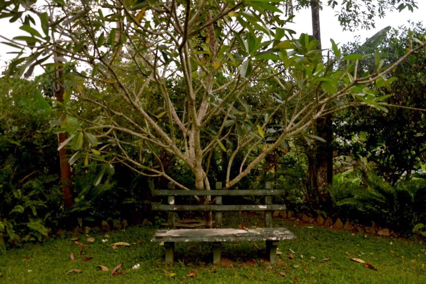 Plantation Villa Resort - Σρι Λάνκα