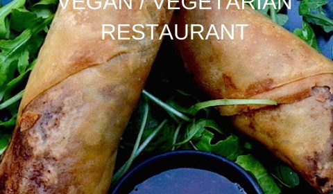 Pinterest graphic, vegan restaurant roots, thessaloniki
