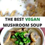 vegan mushroom soup photo collage